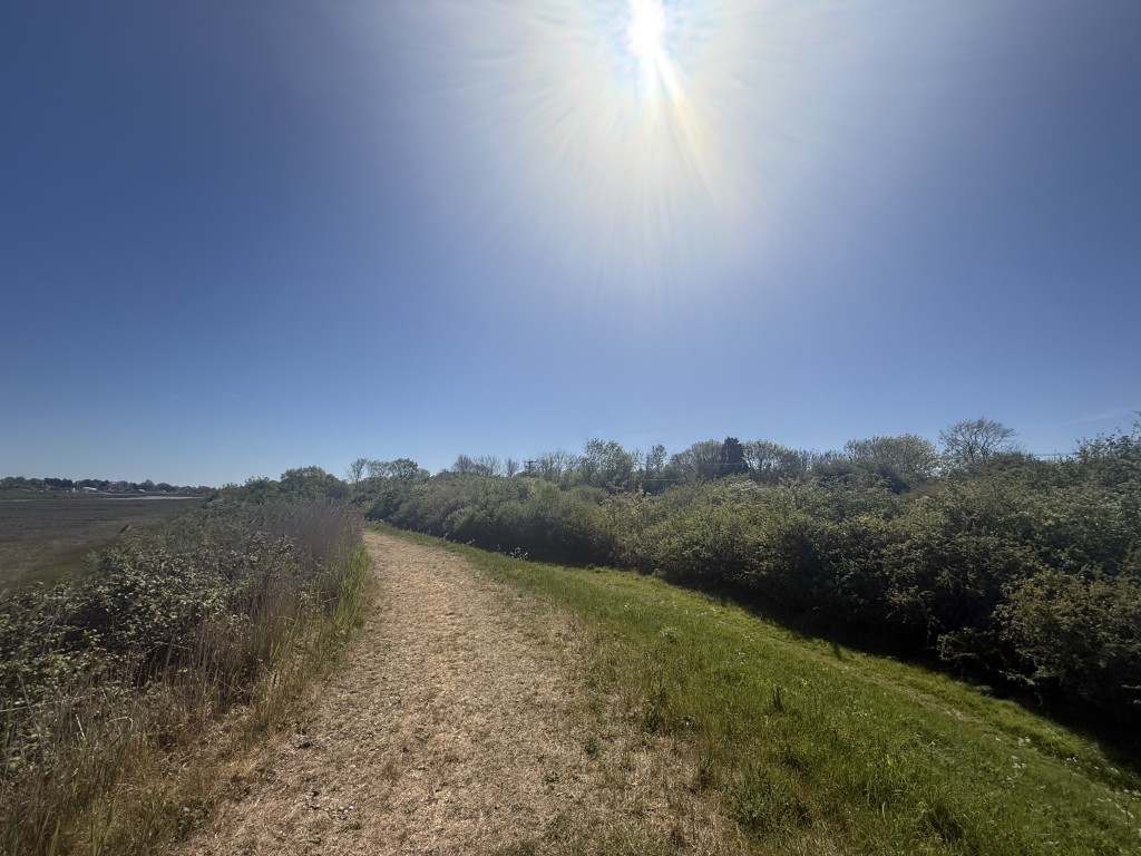 Lot: 82 - 0.88 ACRE FREEHOLD PARCEL OF LAND - Shot of land from footpath behind